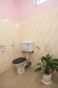 a bathroom with a toilet with a plant in it at Story House in Negombo