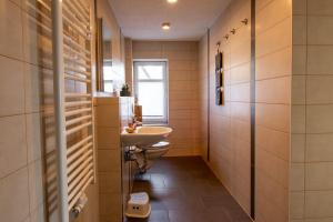 a bathroom with a sink and a toilet at Ferienwohnungen Zum Fischerhafen in Freest