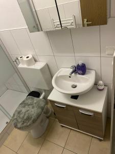 Ένα μπάνιο στο Monteurwohnung Brunner +5 φωτογραφίες