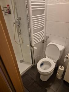 a small bathroom with a toilet and a shower at Ferienwohnung Selb in Selb +11 photos