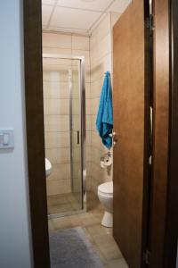 Koupelna v ubytování Skandik Luxe Residence + 19 fotografií