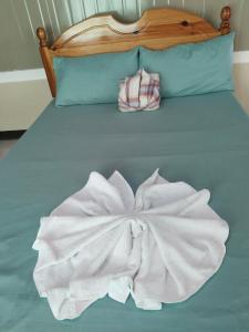 a bed with a white blanket on top of it at Ahava Lodge in Cervantes
