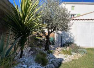 a garden with a palm tree and rocks at Rêve Capestanais - B&B avec Piscine in Capestang