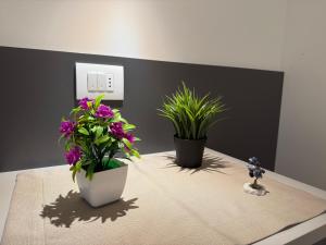 two potted plants sitting on top of a table at Franciacorta Bergamo Airport Suite Apartment in Telgate +13 photos