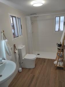a bathroom with a toilet and a shower and a sink at Cueva El Rincón de la Calma in Guadix