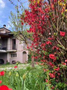 A garden outside AL CLISI graziosa mansarda