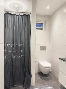 a bathroom with a toilet and a shower curtain at Luxury Nature Retreat in Gilleleje +98 photos
