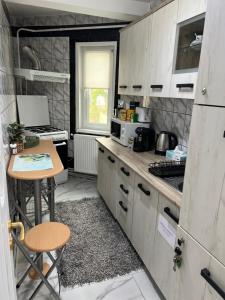 Η κουζίνα ή μικρή κουζίνα στο Apartament Dany