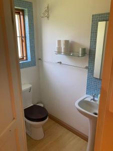 a bathroom with a toilet and a sink at Cozy garden Guest Suite in charming Claremont in Cape Town