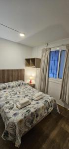 门多萨La Casita de la 5ta - Puerta Arístides的一间卧室，有一张大床，上面有两个枕头