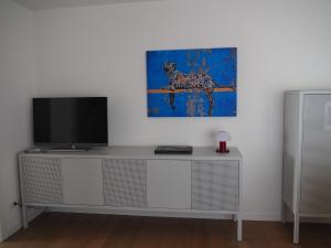Μια τηλεόραση ή/και κέντρο ψυχαγωγίας στο Alloggio il Melograno