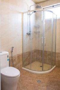 a bathroom with a glass shower with a toilet at Yani apartment in Addis Ababa +11 photos
