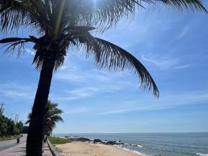 a palm tree sitting on a beach next to the ocean at Hotel 86 in Phan Thiet
