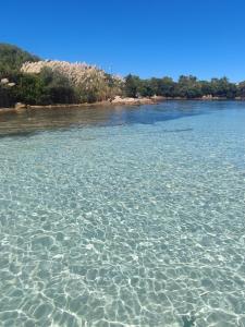 a body of water with crystal clear water at Emadi House Porto Rotondo in Porto Rotondo
