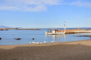 a boat in the water with birds on the beach at Superior Apartment Near Beach in Chania