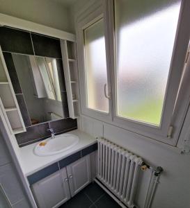 une salle de bain avec un lavabo, un miroir et une fenêtre dans l'établissement Saint-Jean-de-Braye Combleux Une simple petite maison, à Saint-Jean-de-Braye