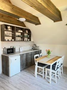 Kuchyň nebo kuchyňský kout v ubytování Apartmány Křivoklát
