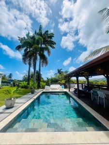 a swimming pool with a palm tree in the background at Villa Boheme O Lagon in Le François