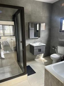 a bathroom with a sink and a toilet and a mirror at Swiss Luxury Apartments - Dolla Hill in Ndola
