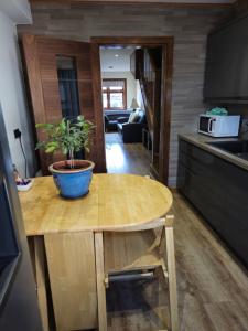 a kitchen with a table with a potted plant on it at Self-catering extended family home in Edinburgh