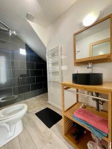 a bathroom with a sink and a toilet and a mirror at Esprit loft in Talence
