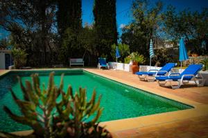 a swimming pool with lounge chairs and a cactus at Casa da Timenina Privates Rooms in São Brás de Alportel +34 photos