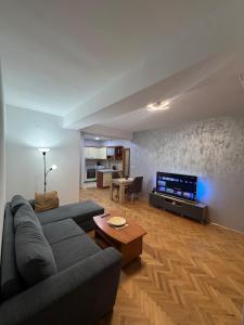 salon z kanapą i telewizorem w obiekcie Alex Apartment w mieście Skopje