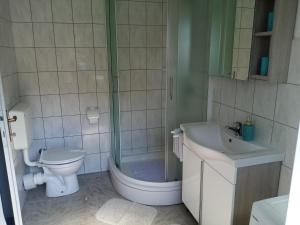 a bathroom with a shower and a toilet and a sink at Apartment Buic in Pula