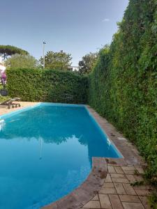a large blue swimming pool next to a hedge at Villa Eliana Fregene in Fregene