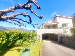 a house with a tree in front of a driveway at Appartement Sophie à Vals les bains in Vals-les-Bains