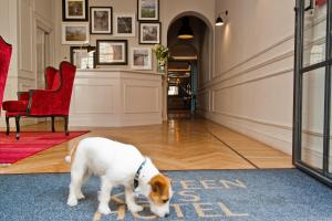 Pet ou pets ficando com hóspedes em The Fifteen Keys Hotel