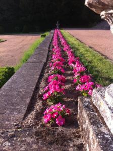 Galeriebild der Unterkunft Château de Busset in Busset