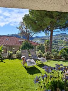 a dog laying in a hammock in a yard at Le Mimose Garden in Bordighera