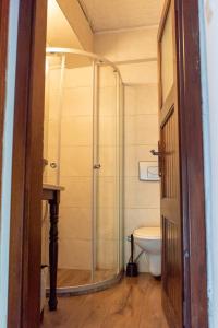 a bathroom with a shower and a toilet at Esen Apartments in Ula