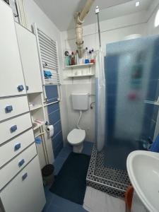 Galería fotográfica de Apartman Oskar en Bor