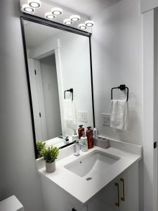 a bathroom with a white sink and a large mirror at Charming Basement Suite in Edmonton