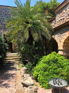 a palm tree sitting next to a table with a chess set at Dream House by the Aegean Coast in Dikili