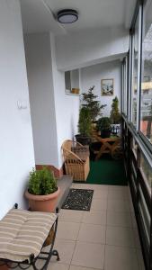 Fotografia z galérie ubytovania Retrospekcja - Apartament w centrum v Zakopanom