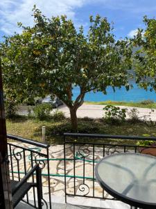 Gallery image of Studios&apartments Thomas in Vasiliki +105 photos