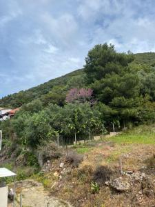 Gallery image of Studios&apartments Thomas in Vasiliki