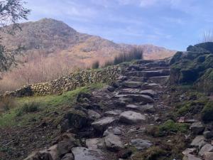 a rocky path on a hill with a mountain at Cottage Retreat Snowdonia in Capel-Curig