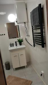 a bathroom with a sink and a mirror at Lesna Kryjowka Roztocze in Rybnica +39 photos