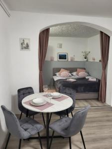 Posezení v ubytování STUDIO APARTMAN KATARINA