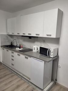 Kuchyňa alebo kuchynka v ubytovaní STUDIO APARTMAN KATARINA