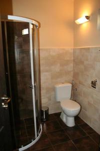 a bathroom with a toilet and a shower at Къща за гости Seltse Villa in Seltse +17 photos