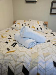 グルノーブルにあるAppartement - Grenoble - Calmeのベッドの上に座るタオル