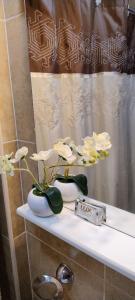 two vases with flowers on a shelf in a bathroom at Precioso departamento en Paraná. Zona Centro in Paraná