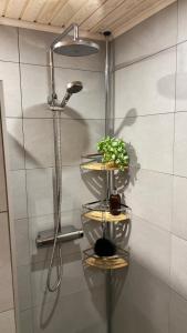 a bathroom with a shower with a plant on a shelf at River's Whisper Cottage in Rovaniemi +31 photos