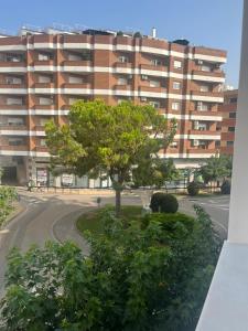 a tree in the middle of a road in front of a building at Apartamentos vinarós a 300m de la playa in Vinarós