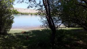 a person standing in the grass near a lake at cabañas rio santa cruz in Comandante Luis Piedra Buena